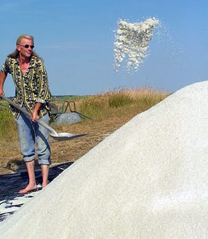 Gilles Hervy paludier, producteur de sel dans les marais salants de Guérande