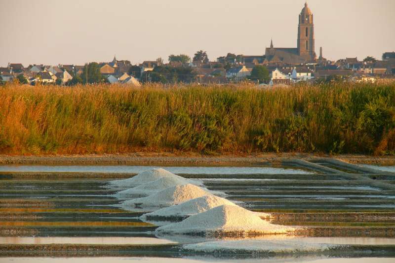 Les marais salants de Guérande en Bretagne