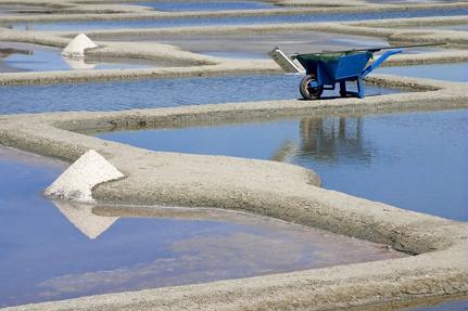 Le gros sel gris bio produit par le paludier Gilles Hervy dans les marais salants de Guérande