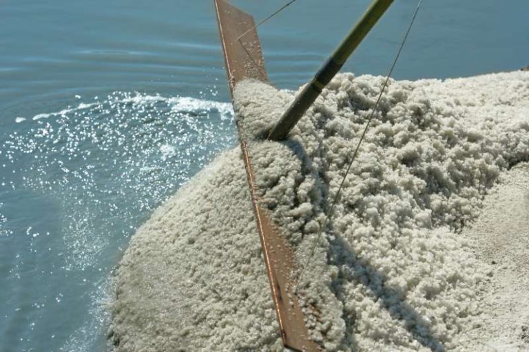 Dans Les Marais Salants Le Sel Récolté Est Stocké Les quatre saisons de la saline des marais salants de Guérande | Fleur