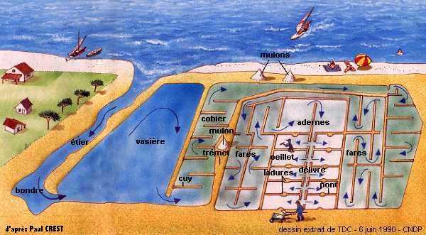 Le circuit de l'eau dans les marais salants de Guérande